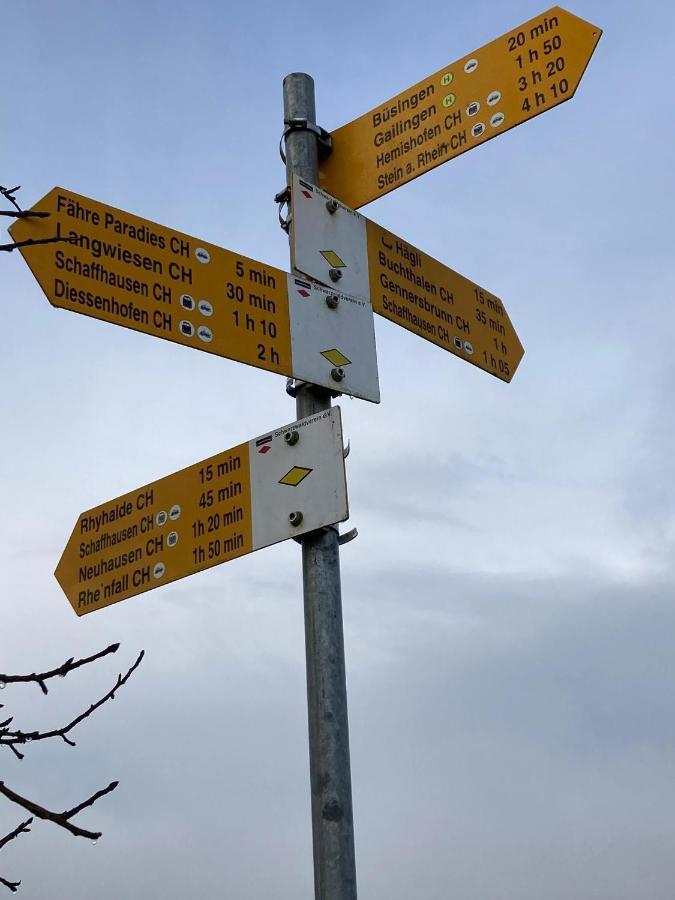Buesingen Am Hochrhein Radfahren, Wandern, Natur Geniessen Exteriör bild