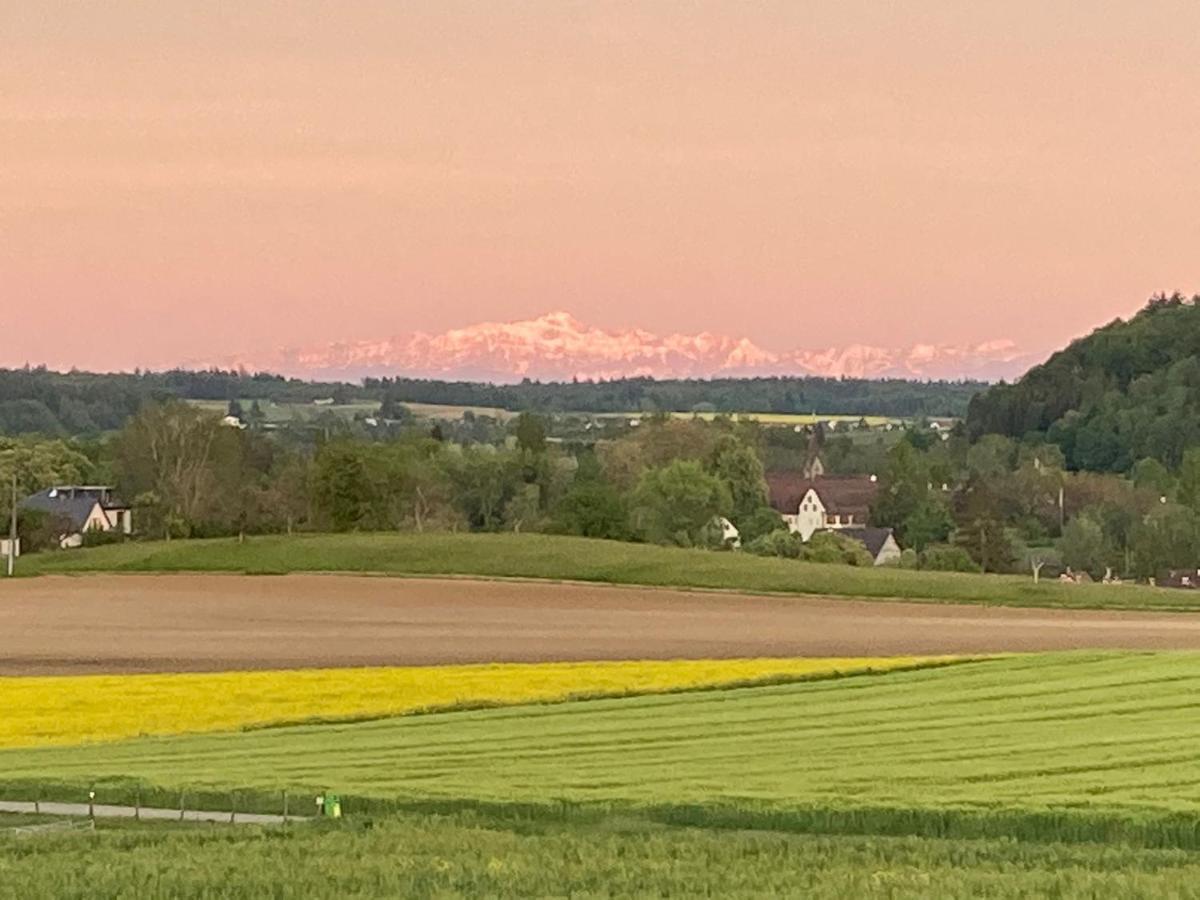 Buesingen Am Hochrhein Radfahren, Wandern, Natur Geniessen Exteriör bild
